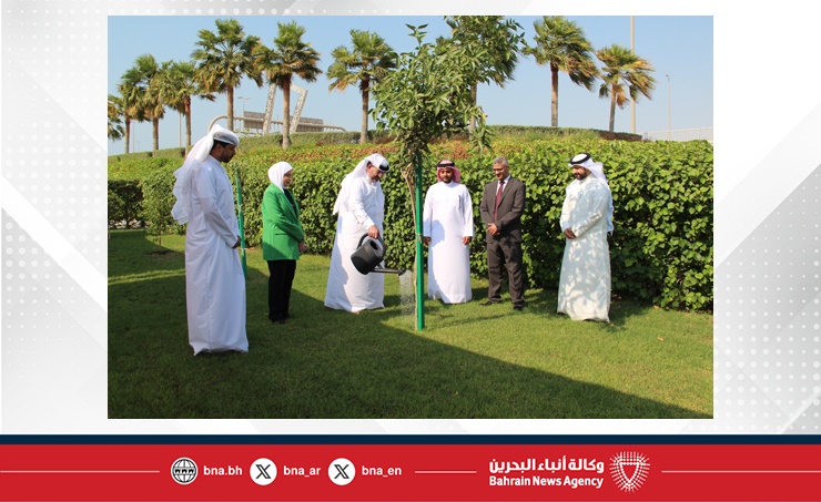 مجلس المناقصات والمزايدات يشارك في فعاليات أسبوع الشجرة 